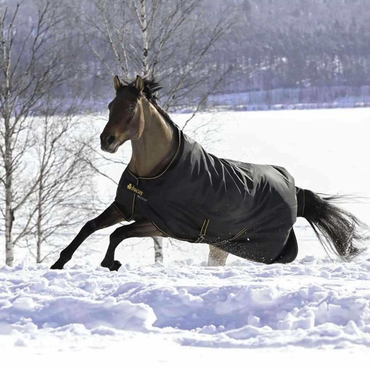 Bucas Irish Turnout 250g Negro/Oro