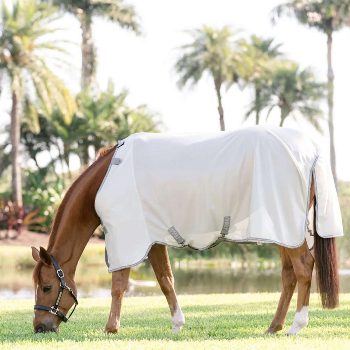 Amigo Bug Rug Plata/Gris Titanio/Plata