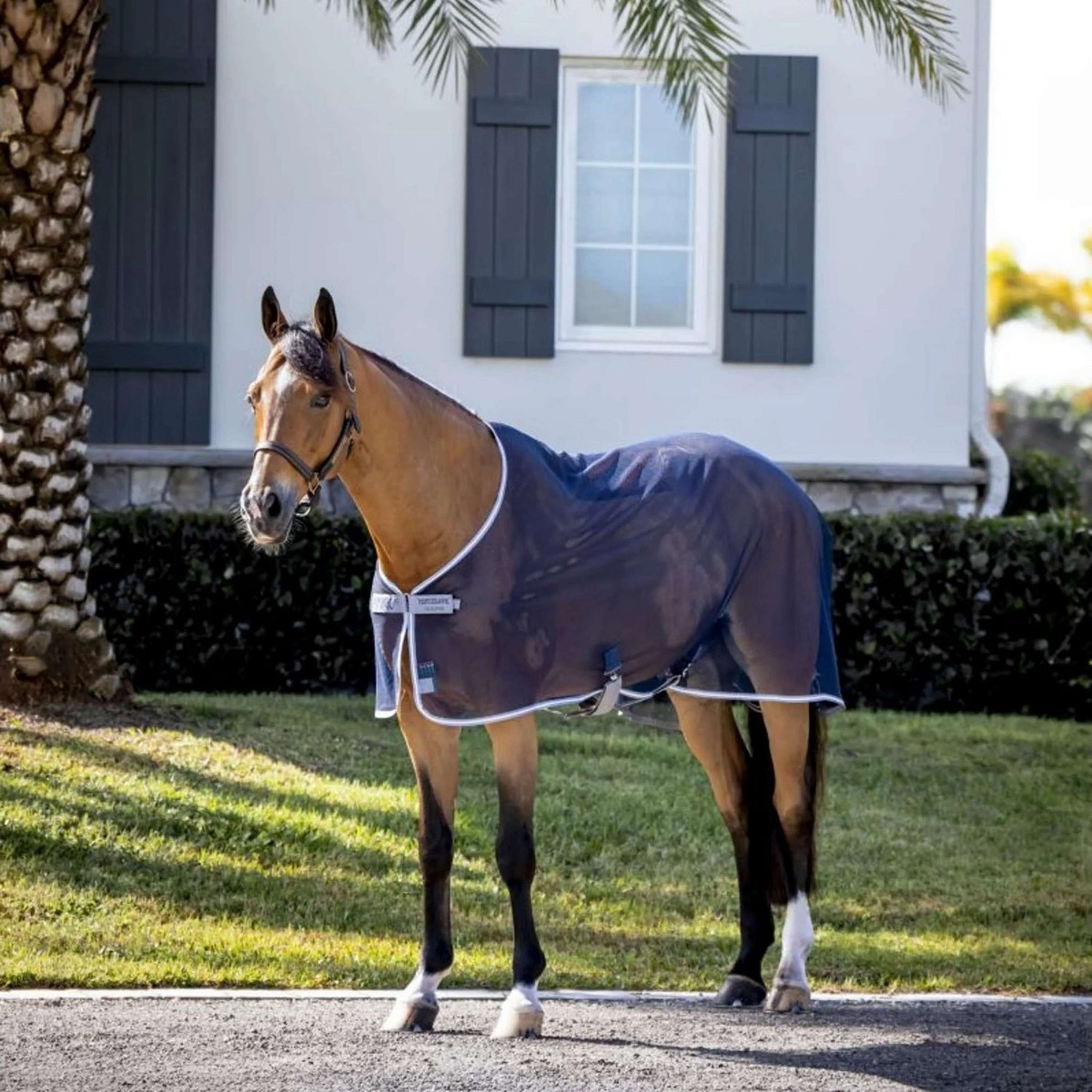 Amigo Net Cooler Marino/Gris Titanio/Plateado