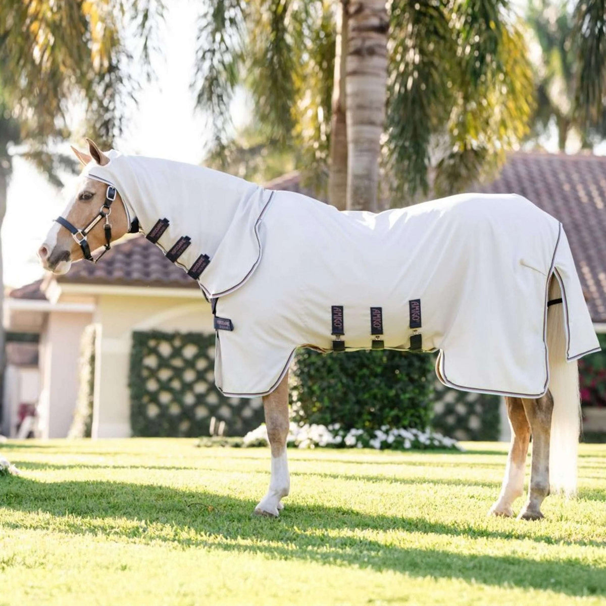 Amigo Ripstop Hoody Pony Plata/Verde/Azul/Rosa