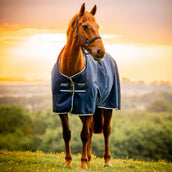 Amigo Ripstop 900D Fleece Lined 50g Witney Navy