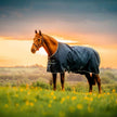 Amigo Ripstop 900D 100g Witney Navy