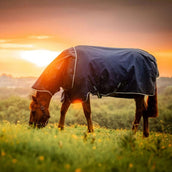 Amigo Ripstop 900D Plus Pony 100g Witney Navy