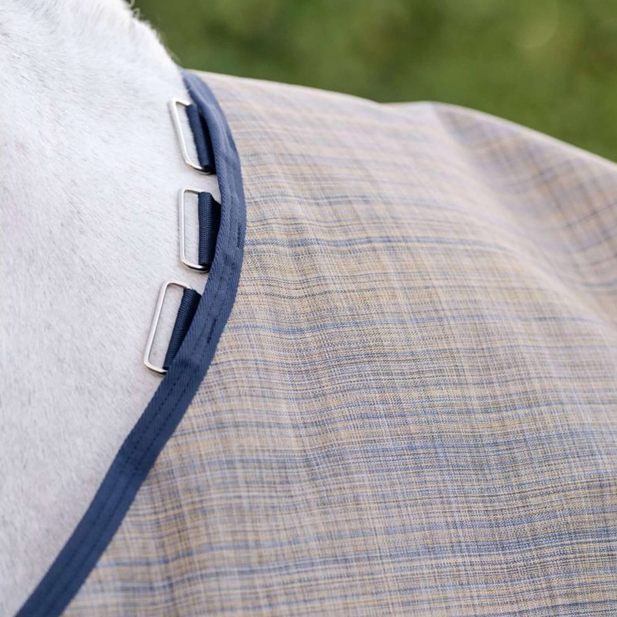 Amigo Turnout 900D Revive Plus 50g