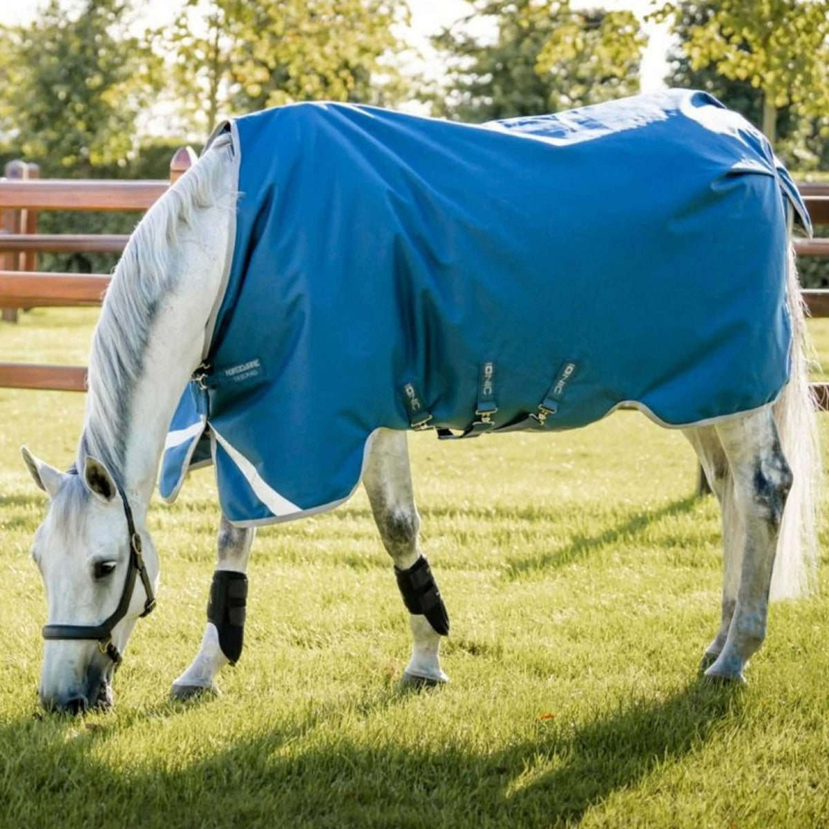 Horseware Therapy Turnout Ionic 100g Azul Imperial/Plata/Marino