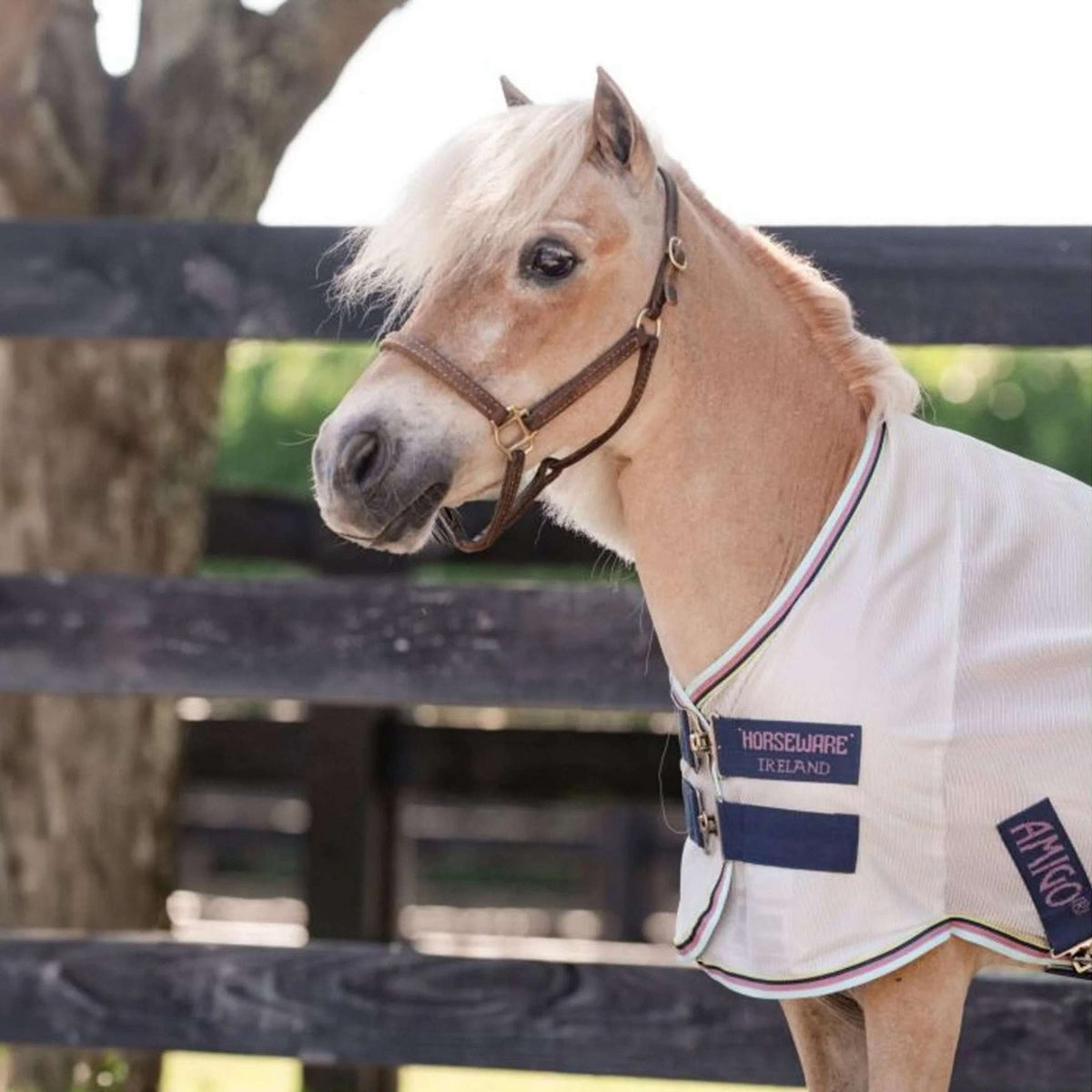 Amigo Bug Rug Plus Petite Plata/Verde/Azul/Rosa