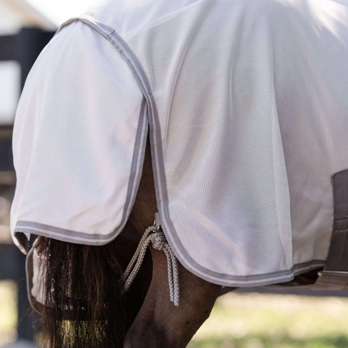 Amigo Bug Rug Plus Petite Plata/Gris Titanio/Plata