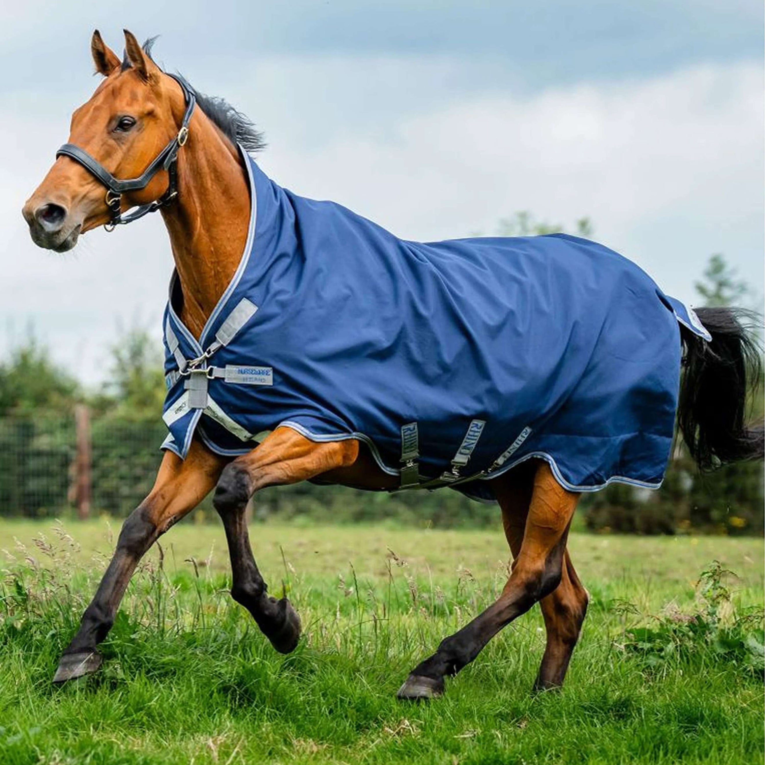 Rhino Wug Turnout 0g Marino Gris Titanio Azul Clasico Rhino Wug Turnout 0g Marino Gris Titanio Azul Clasico