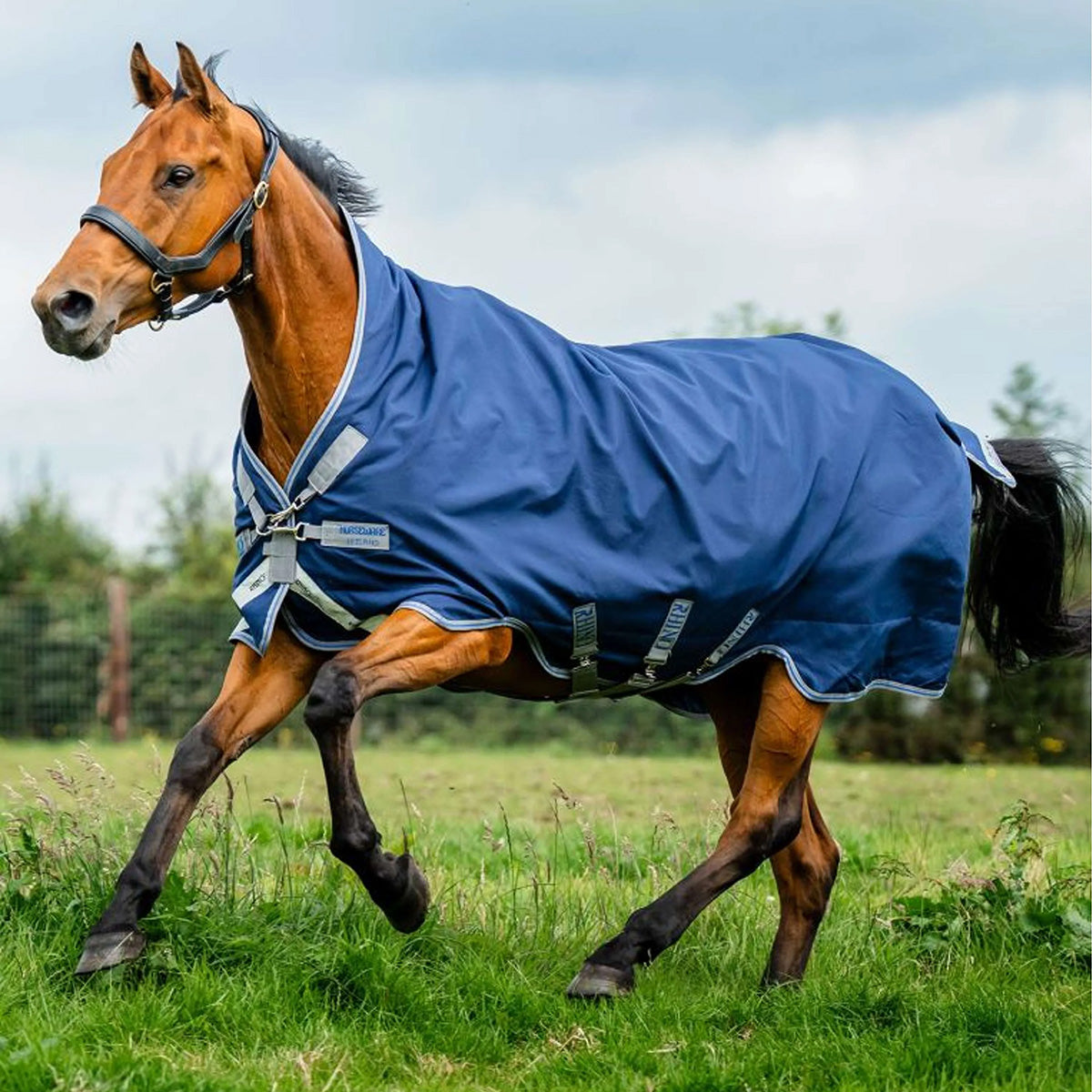 Rhino Wug Turnout 0g Marino Gris Titanio Azul Clasico