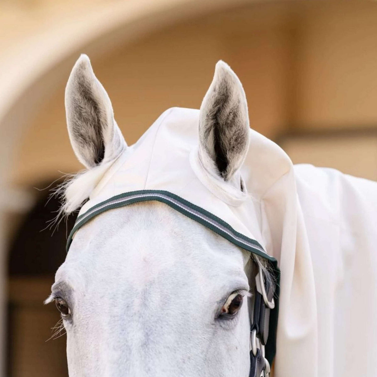 Rambo Hoody Pony Tiza/Verde cazador/Plata