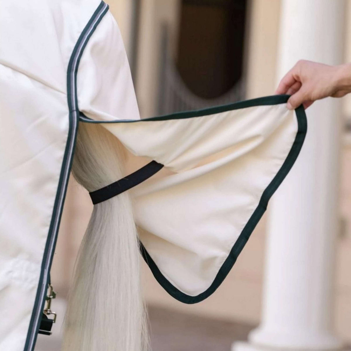 Rambo Hoody Pony Tiza/Verde cazador/Plata