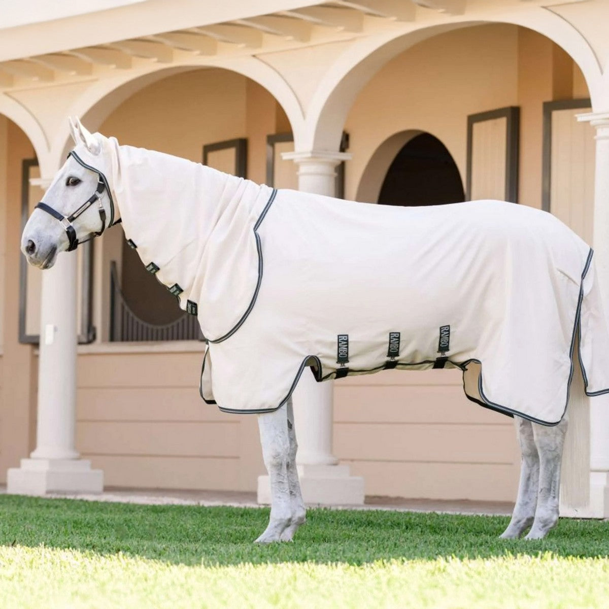 Rambo Hoody XL Tiza/Verde cazador/Plata