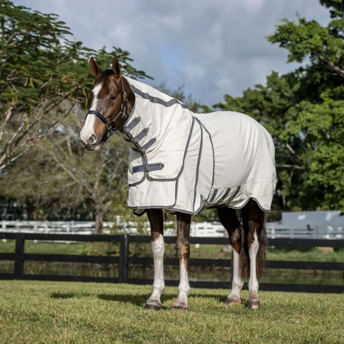 Rambo by Horseware Optimo Supreme Summer Sheet Plus Cuadros azul marino/Gris tormenta/Plata