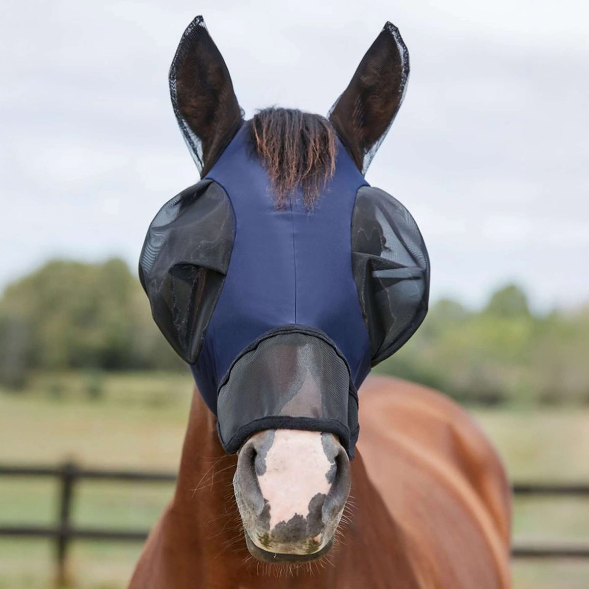 WeatherBeeta Máscara para Moscas ComFiTec Luxe Bug Eye Saver con Orejas y Nariz Azul marino/Negro