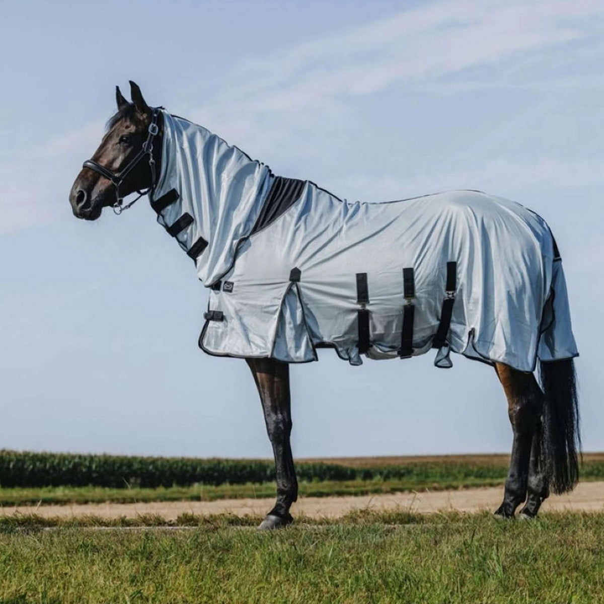 Riding World Manta Antimoscas Belly Mesh Combo Gris