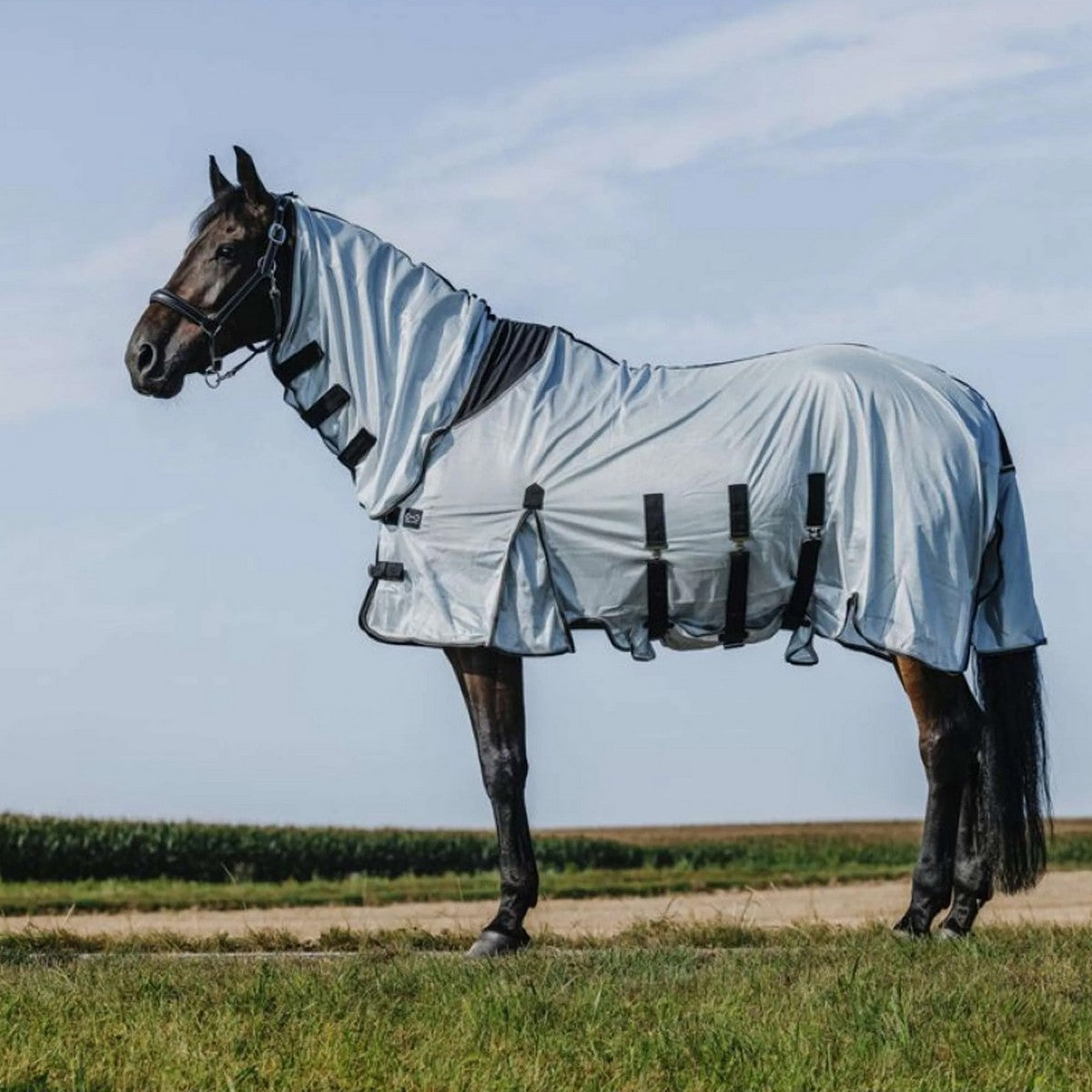 Riding World Manta Antimoscas Belly Mesh Combo Gris