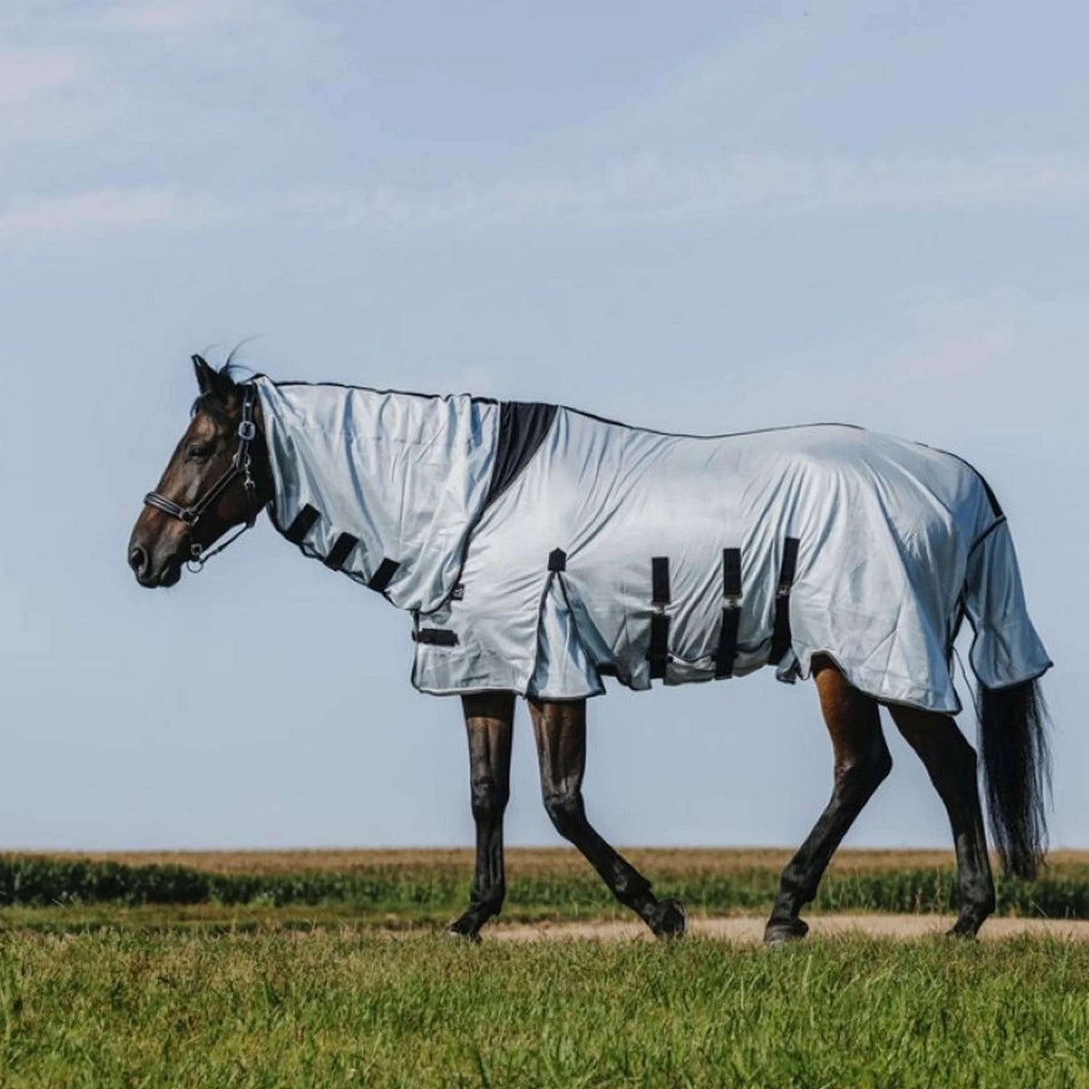 Riding World Manta Antimoscas Belly Mesh Combo Gris