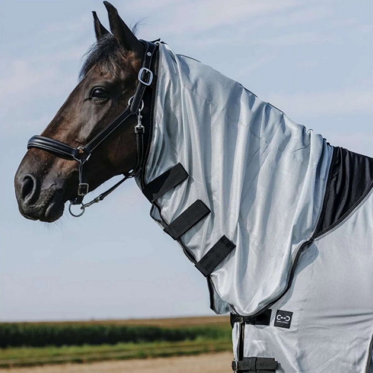 Riding World Manta Antimoscas Belly Mesh Combo Gris