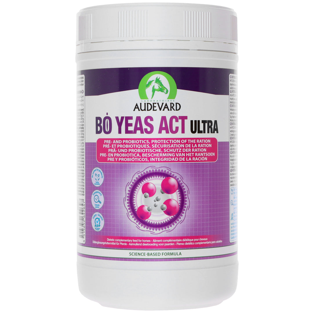 Audevard Bo Yeas Act Ultra