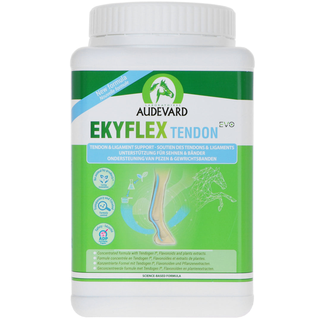 Audevard Ekyflex Tendon Evo