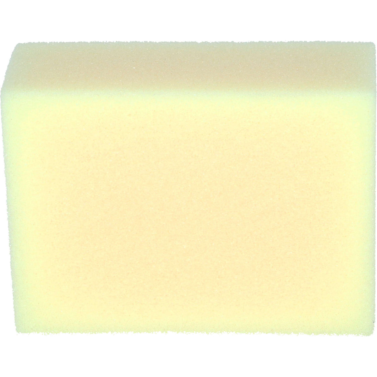 Carr & Day & Martin Tack Cleaning Sponge