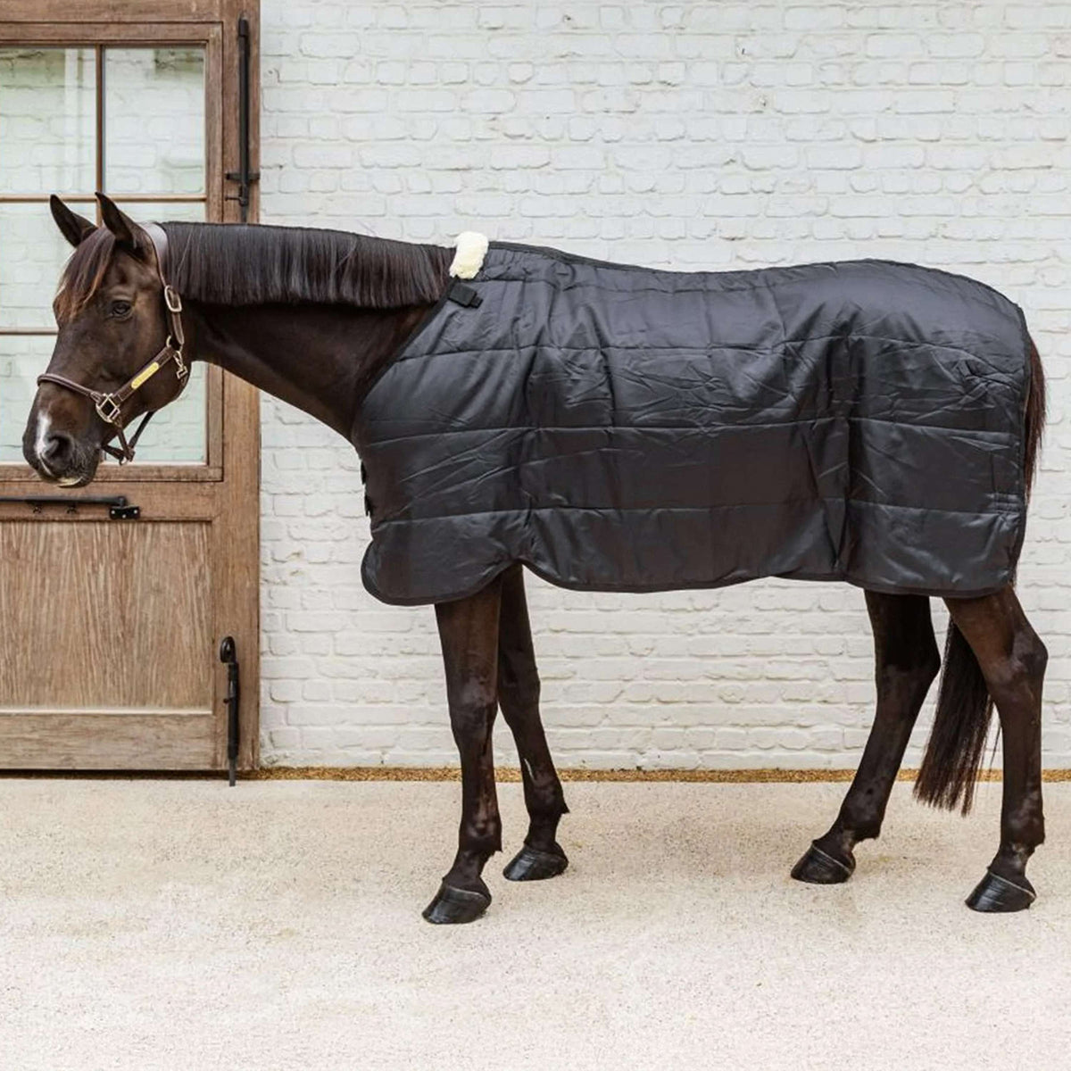Kentucky Turnout Rug Comfort Liner 200g Negro