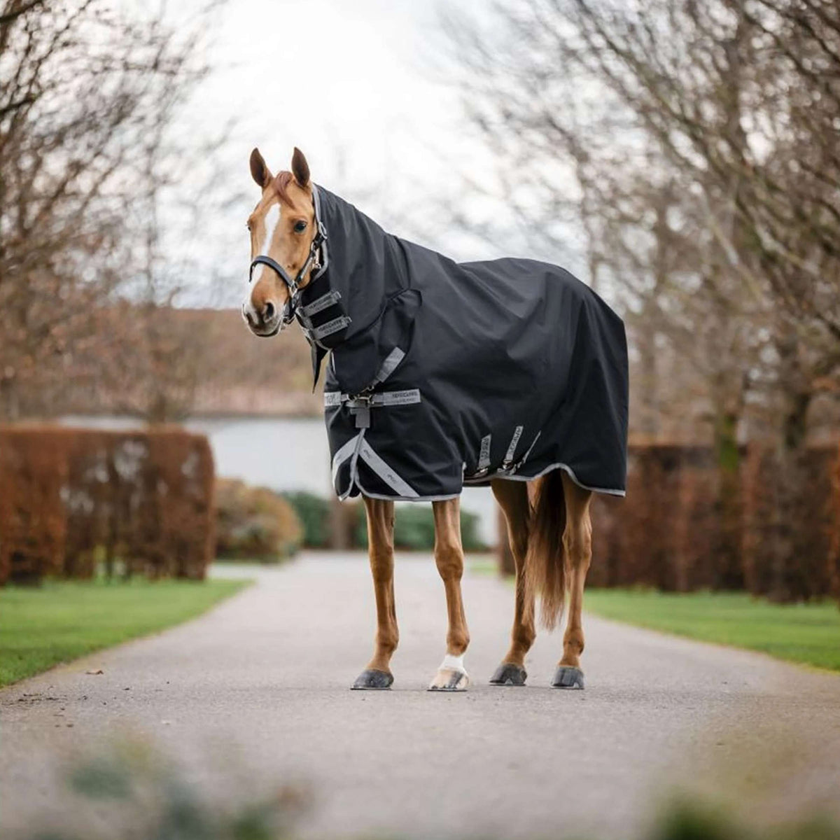 Amigo Turnout Rug Integrated 1200D 250g Black/Titanium Grey/Silver