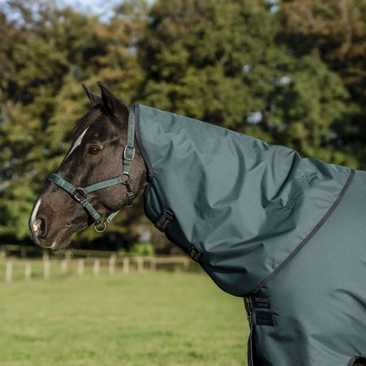 Amigo Cubrecuellos Ripstop 900D 0g Dynasty Green/Navy/Silver