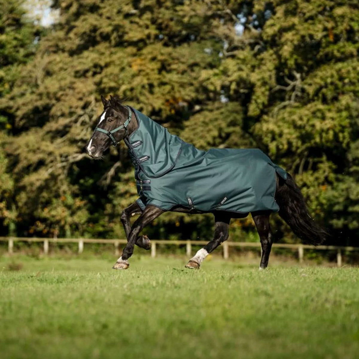 Amigo Cubrecuellos Ripstop 900D 0g Dynasty Green/Navy/Silver