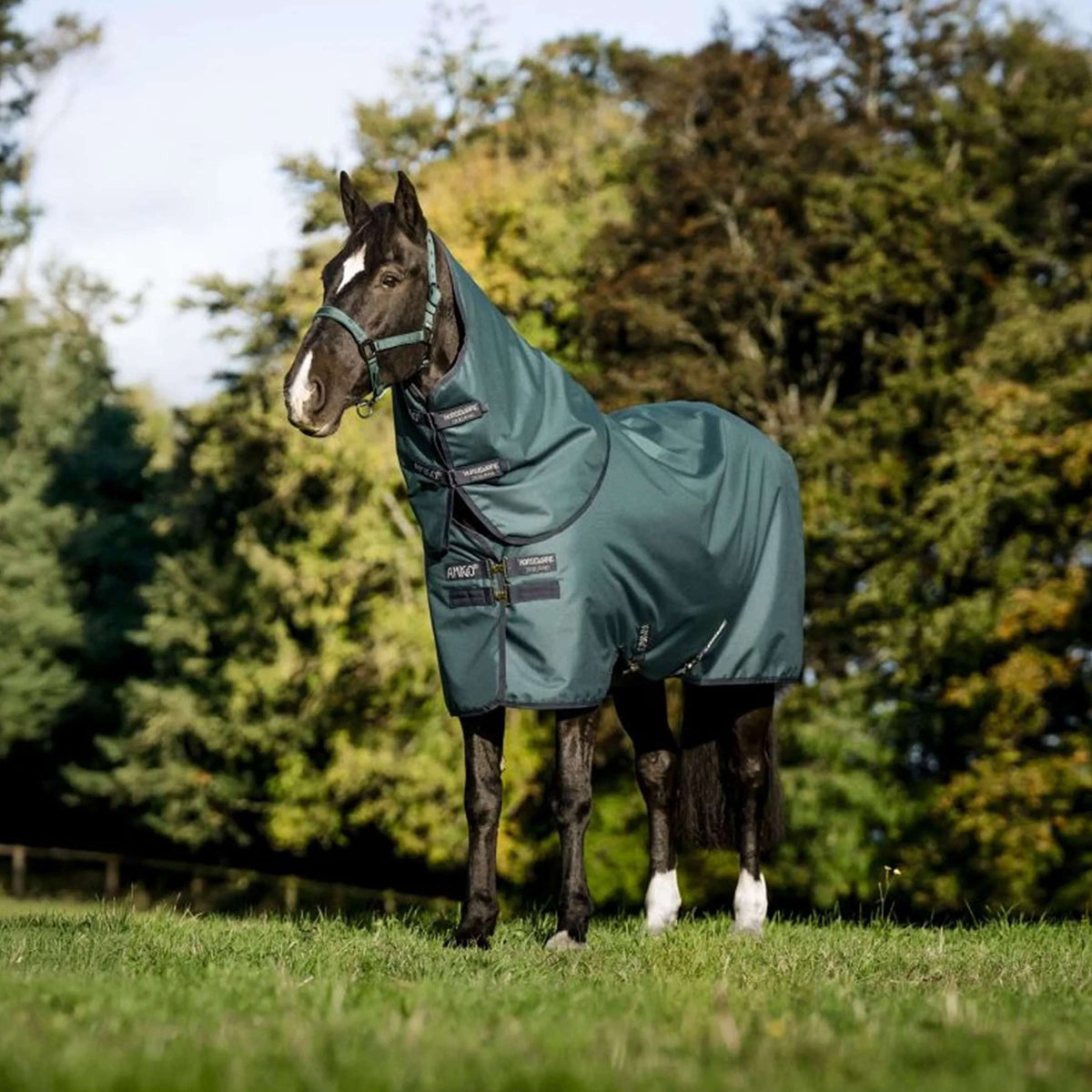 Amigo Cubrecuellos Ripstop 900D 0g Dynasty Green/Navy/Silver