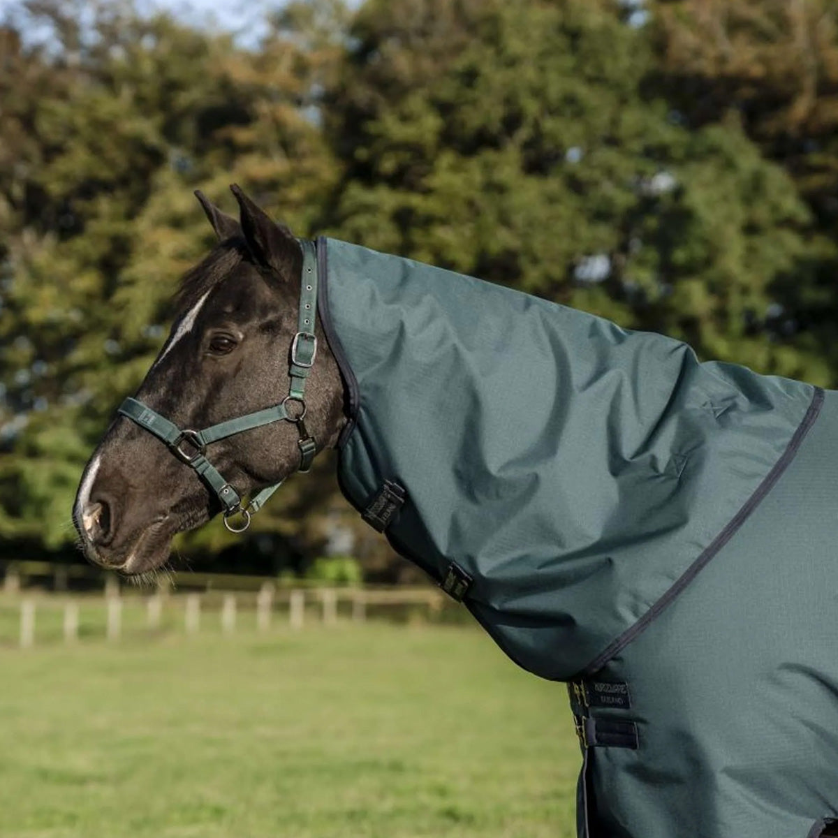 Amigo Cubrecuellos Ripstop 900D 150g Dynasty Green/Navy/Silver