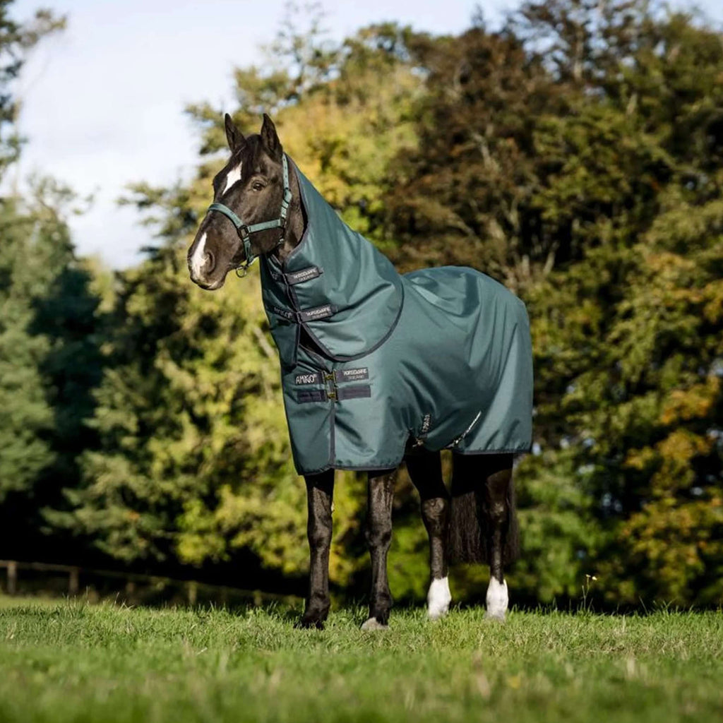 Amigo Ripstop 900D Plus Pony 100g Dynasty Green/Navy/Silver