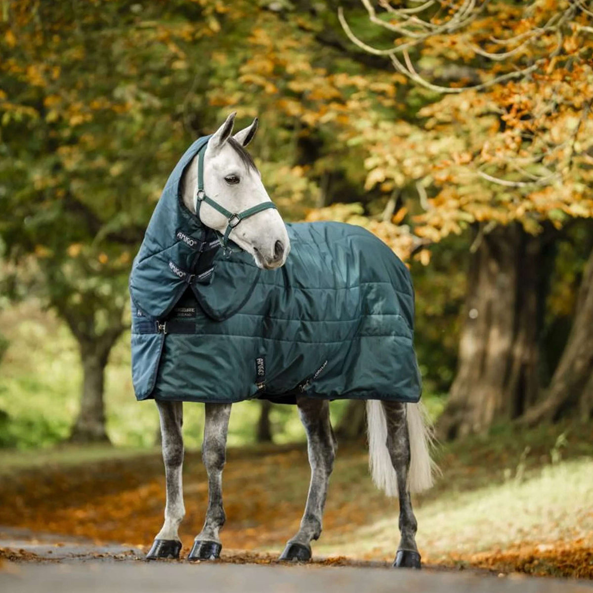 Amigo Cubrecuellos Ripstip Insulator Stable 200g Dynasty Green/Navy/Silver