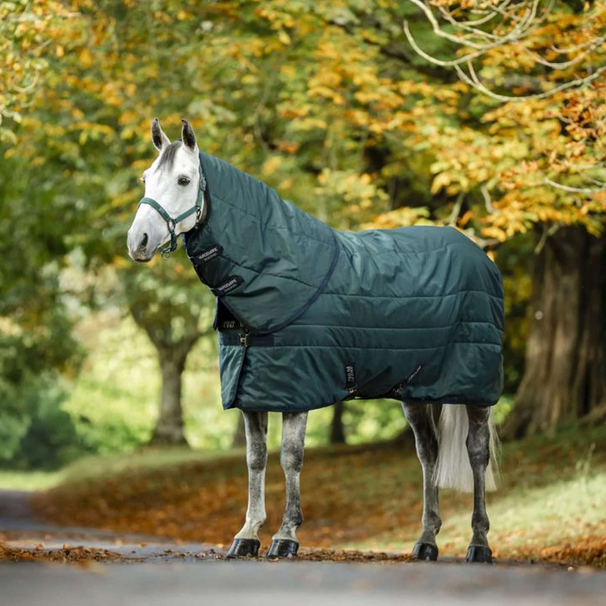 Amigo Cubrecuellos Ripstip Insulator Stable 200g Dynasty Green/Navy/Silver