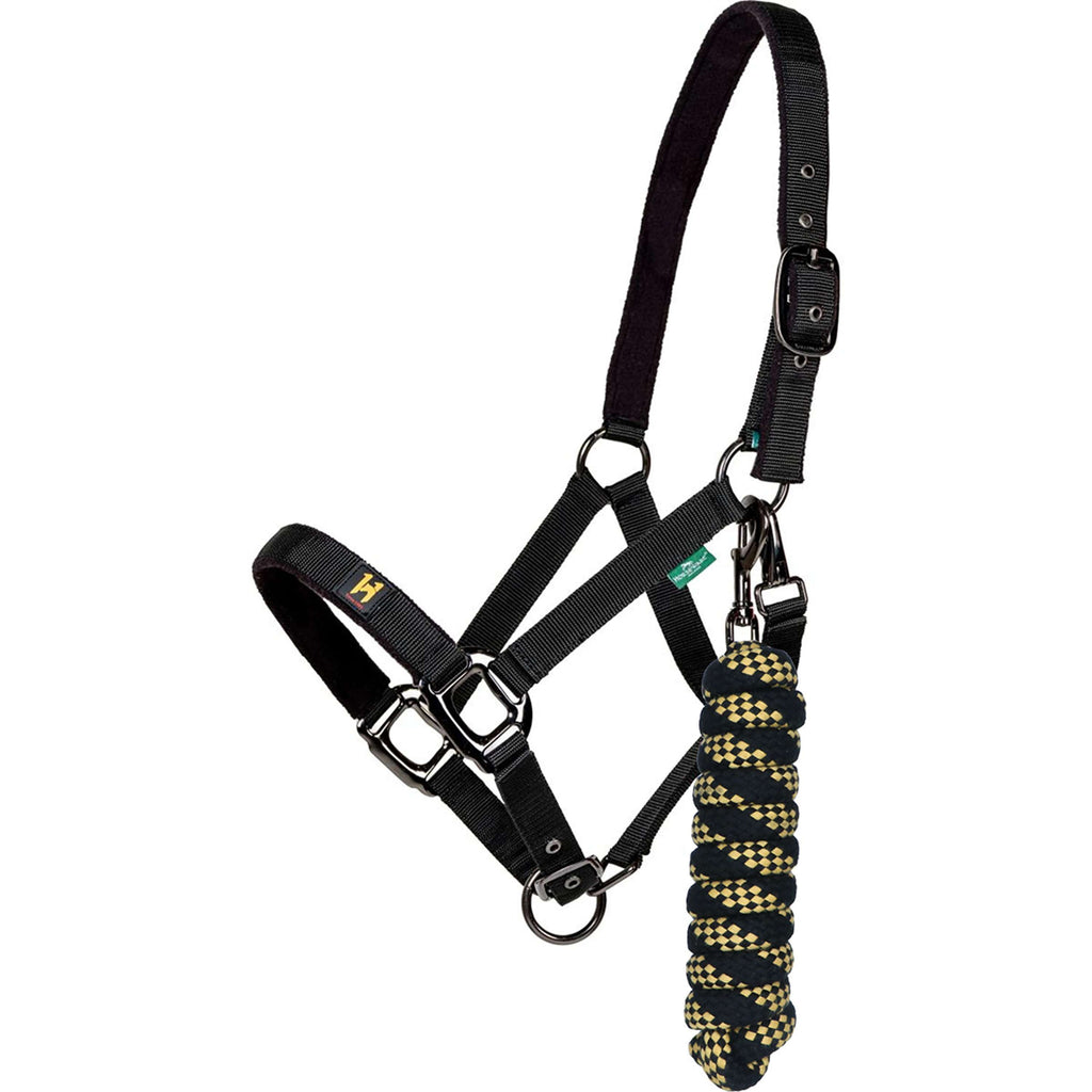 Amigo Cabestro y Ramal Newmarket Witney Gold