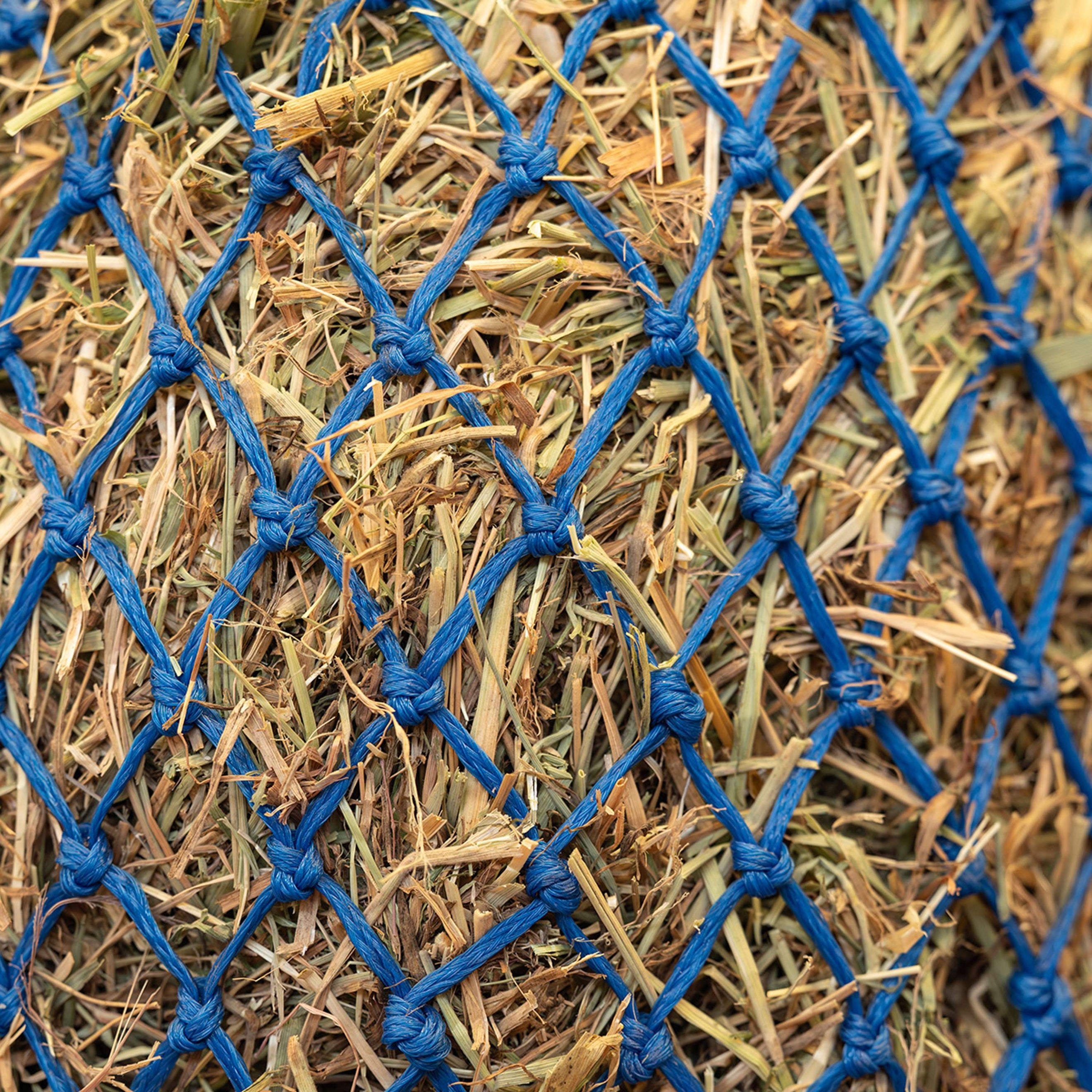 Agradi Horse Red de Heno Standaard Malla Extra Fina 3x3cm Azul