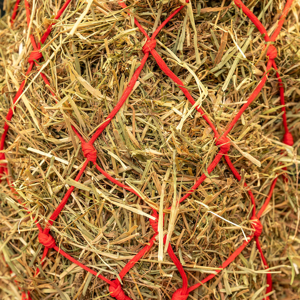 Agradi Horse Red de Heno Standaard Malla gruesa 8x8cm Rojo