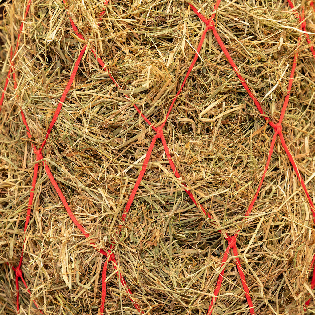 Agradi Horse Red de Heno Malla 15x15cm Rojo