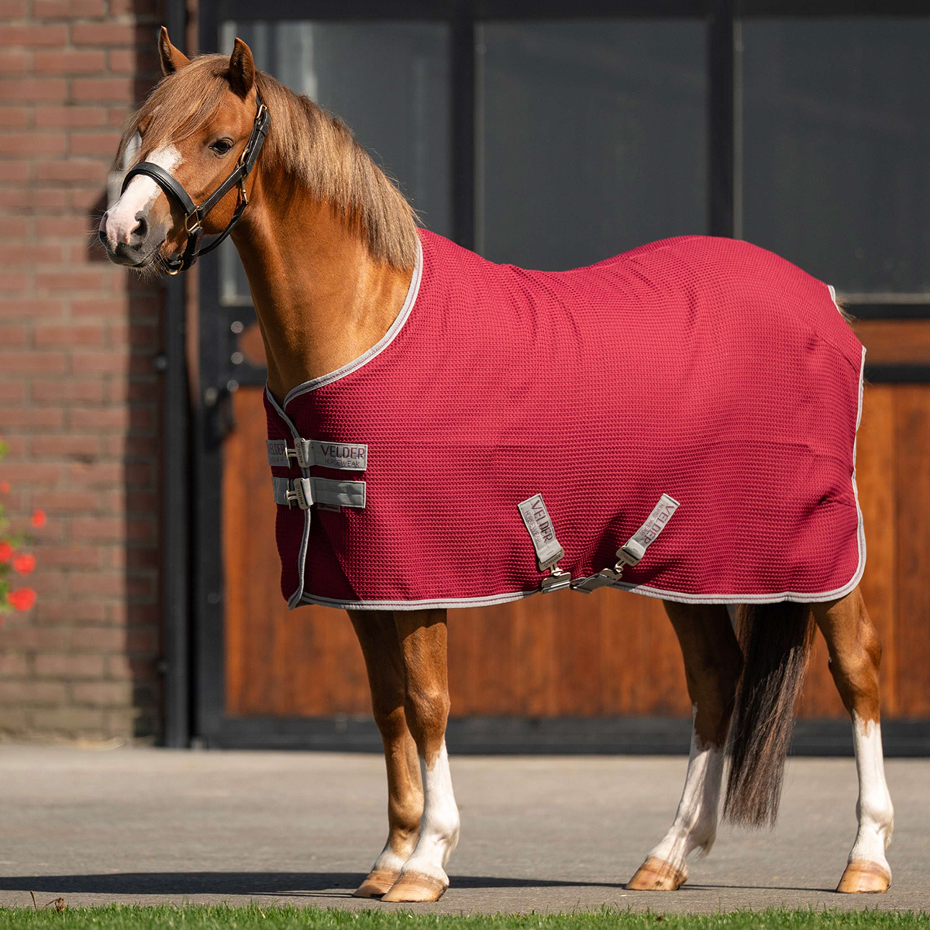 Velder Horsewear Premium Pony Waffle Cooler Rug Rojo Morera