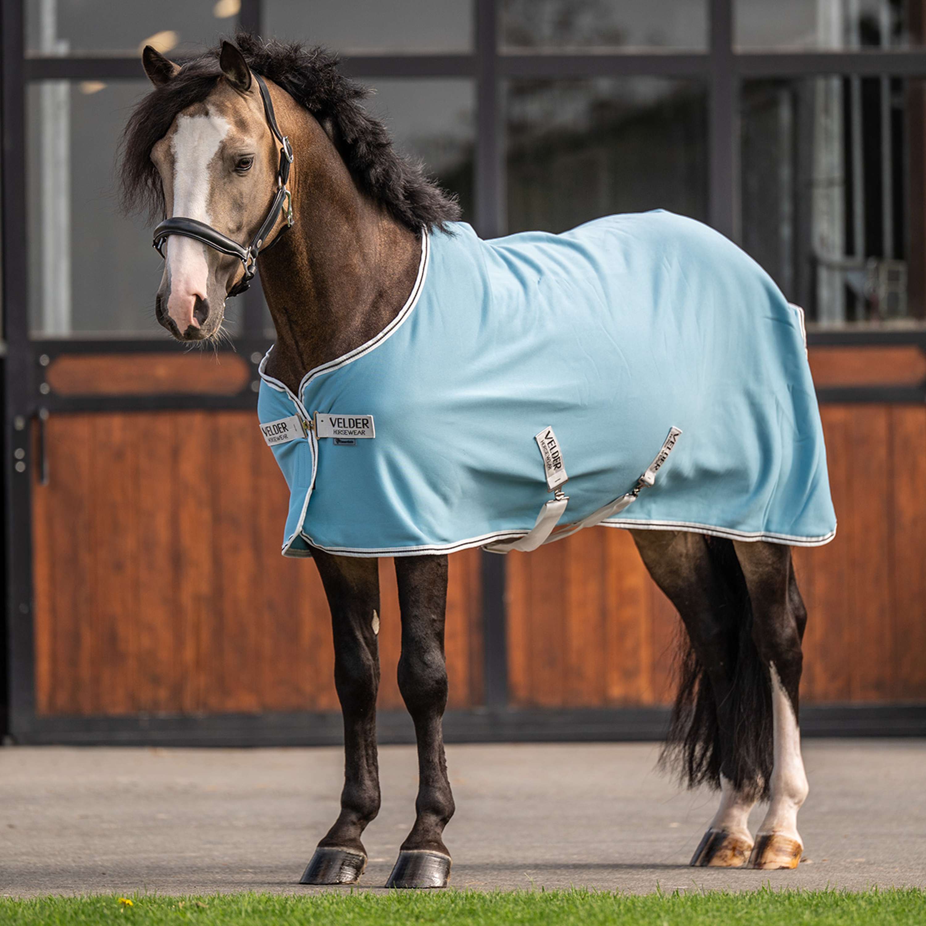 Velder Horsewear Essentials Pony Cooler Rug Azul Aqua