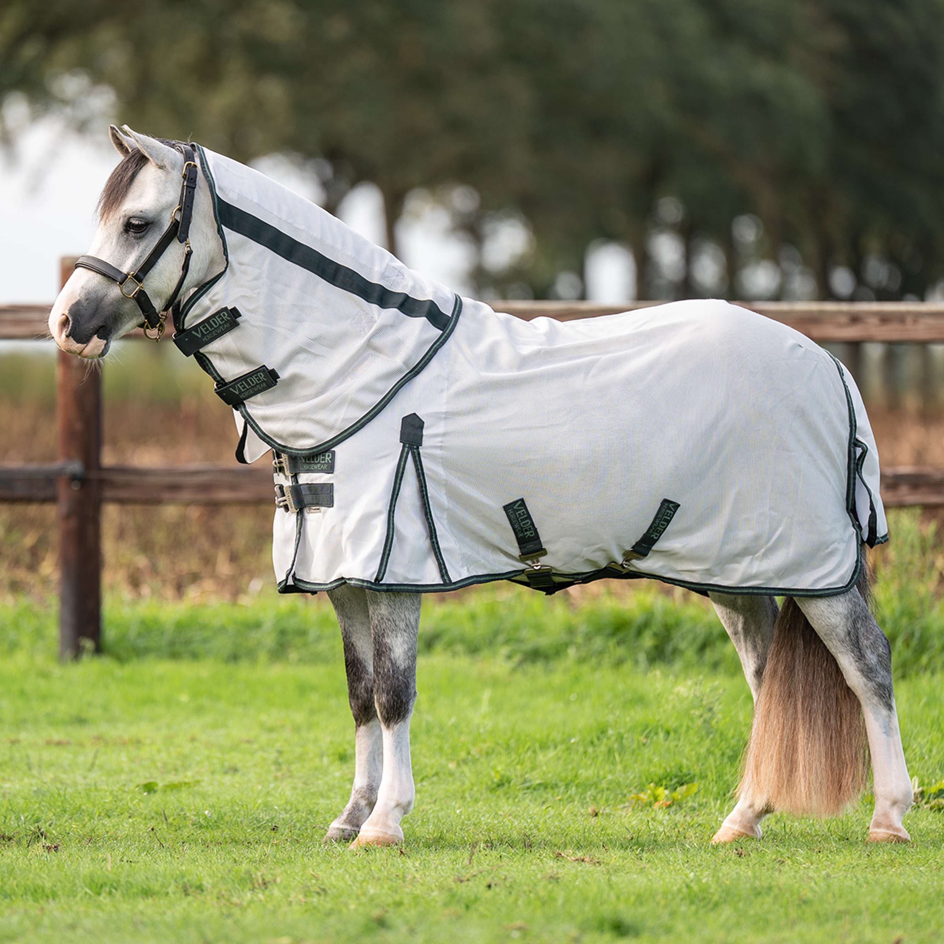 Velder Horsewear Premium Pony Manta Antimoscas Guardian AirMesh Silver Mist