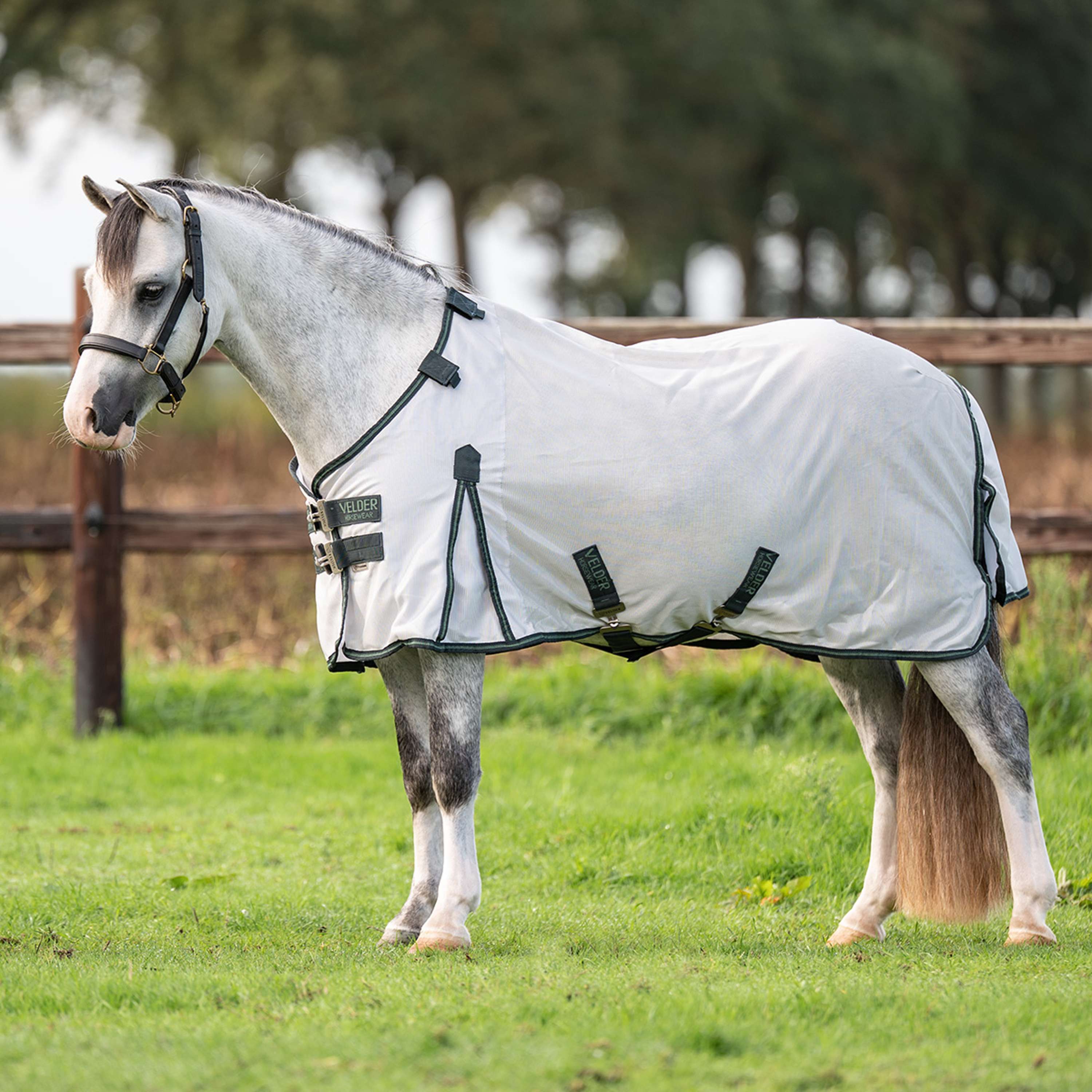 Velder Horsewear Premium Pony Manta Antimoscas Guardian AirMesh Silver Mist