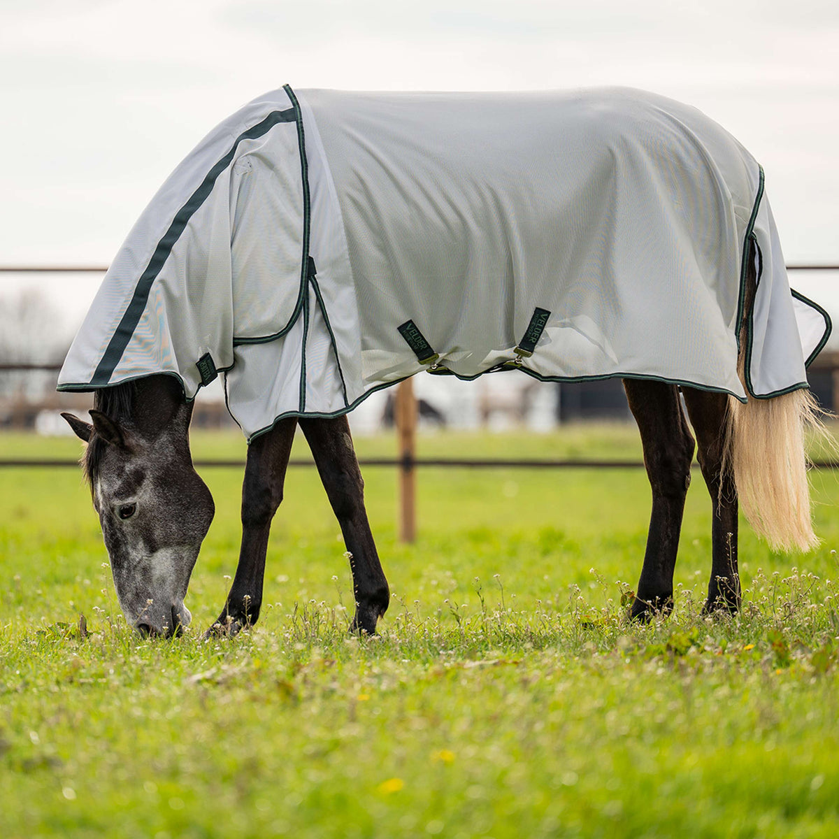 Velder Horsewear Manta Antimoscas Guardian AirMesh Silver Mist