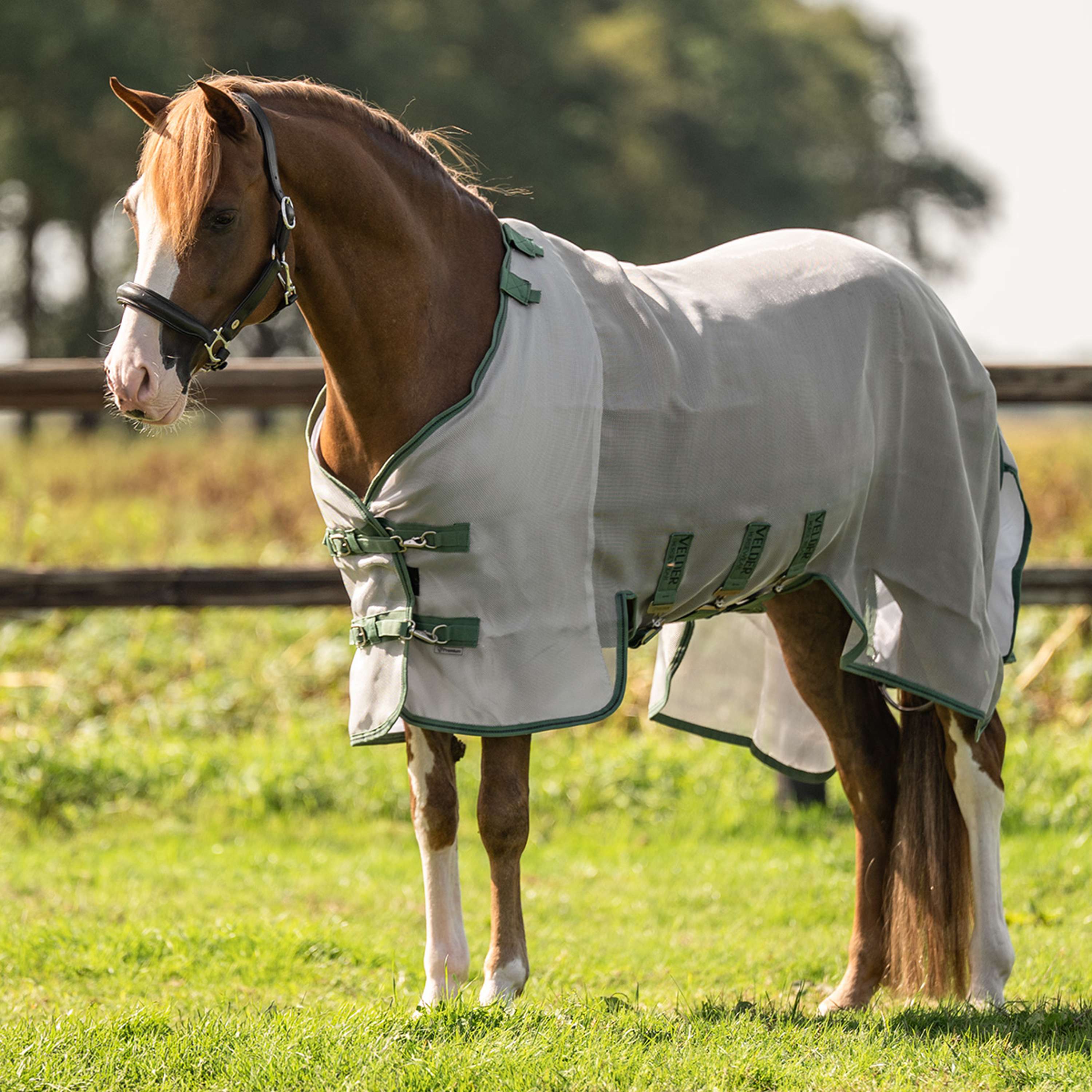 Velder Horsewear Premium Pony Insect Guard Plus Plata