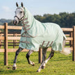 Sage Light