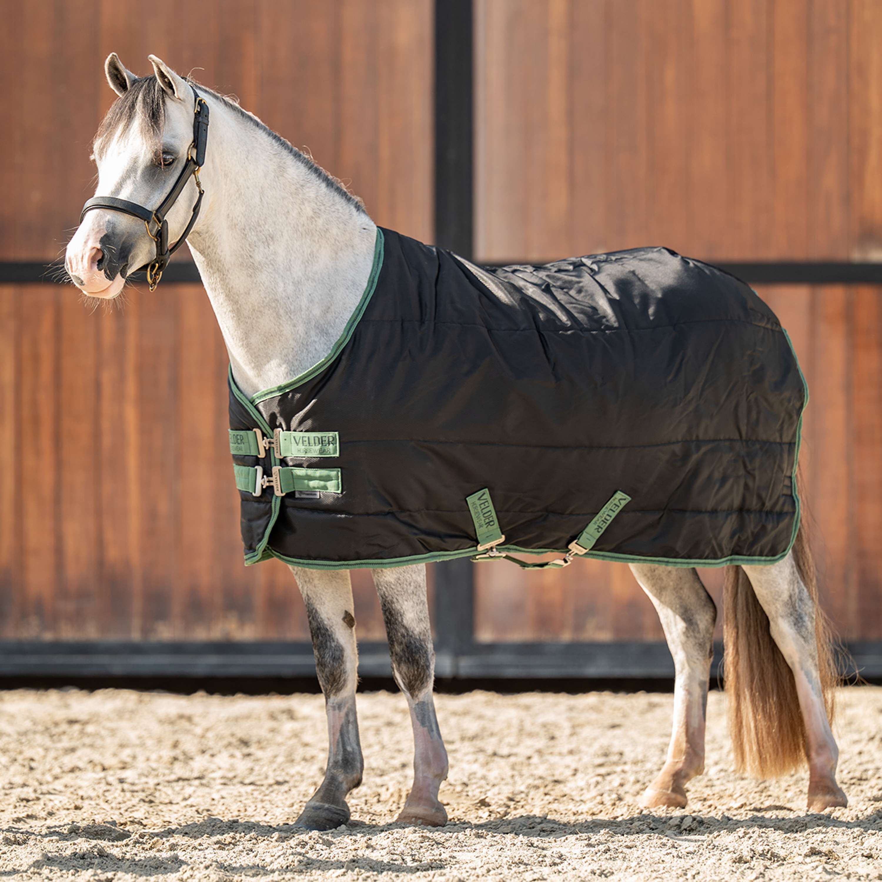 Velder Horsewear Premium Pony Manta de Establo 210D 100g Negro