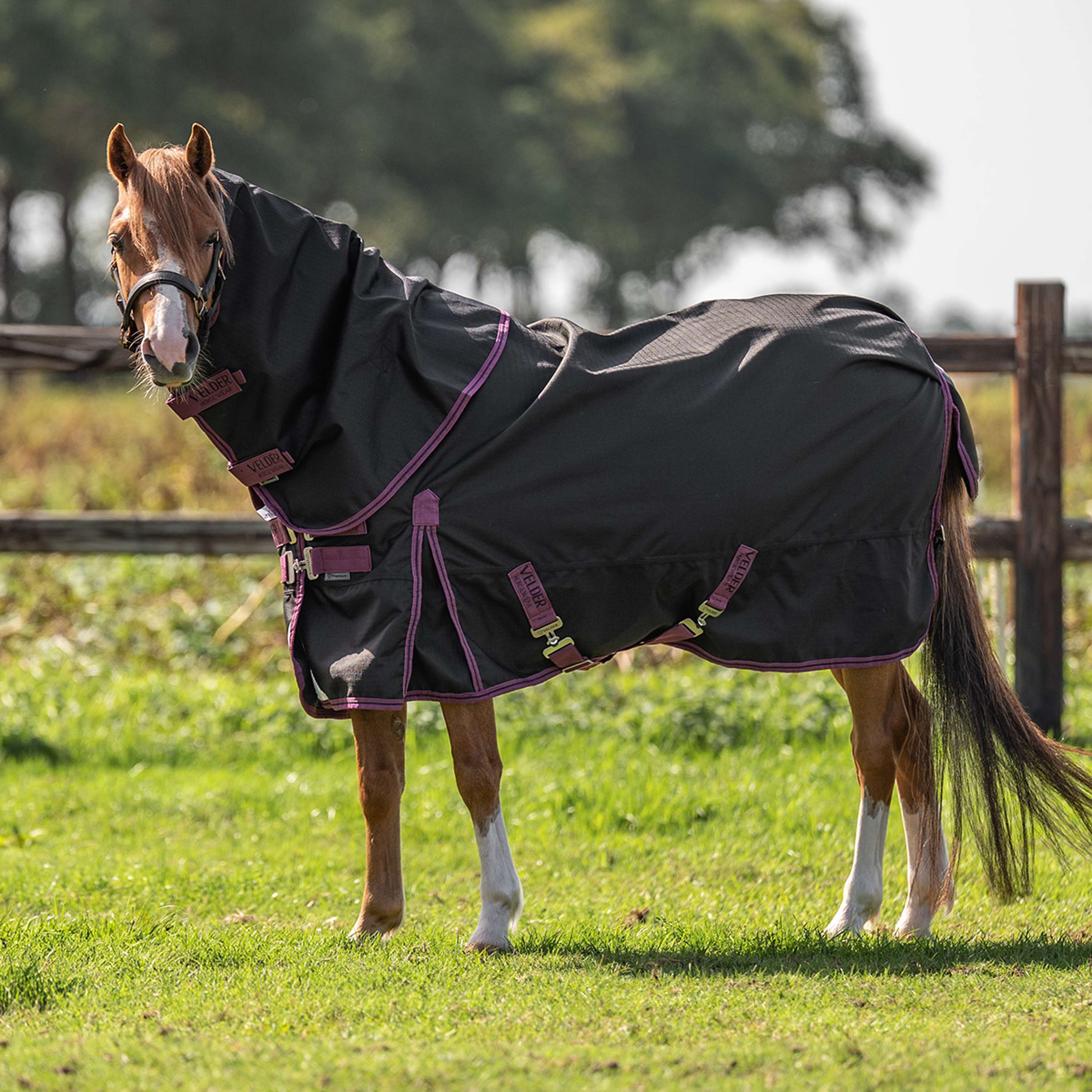 Velder Horsewear Premium Pony Turnout Rug 1200D 0g Negro