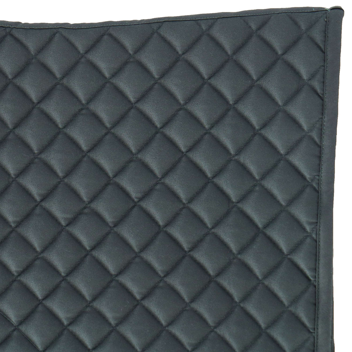 Velder Horsewear Essentials Mantilla saltando Dutch Green