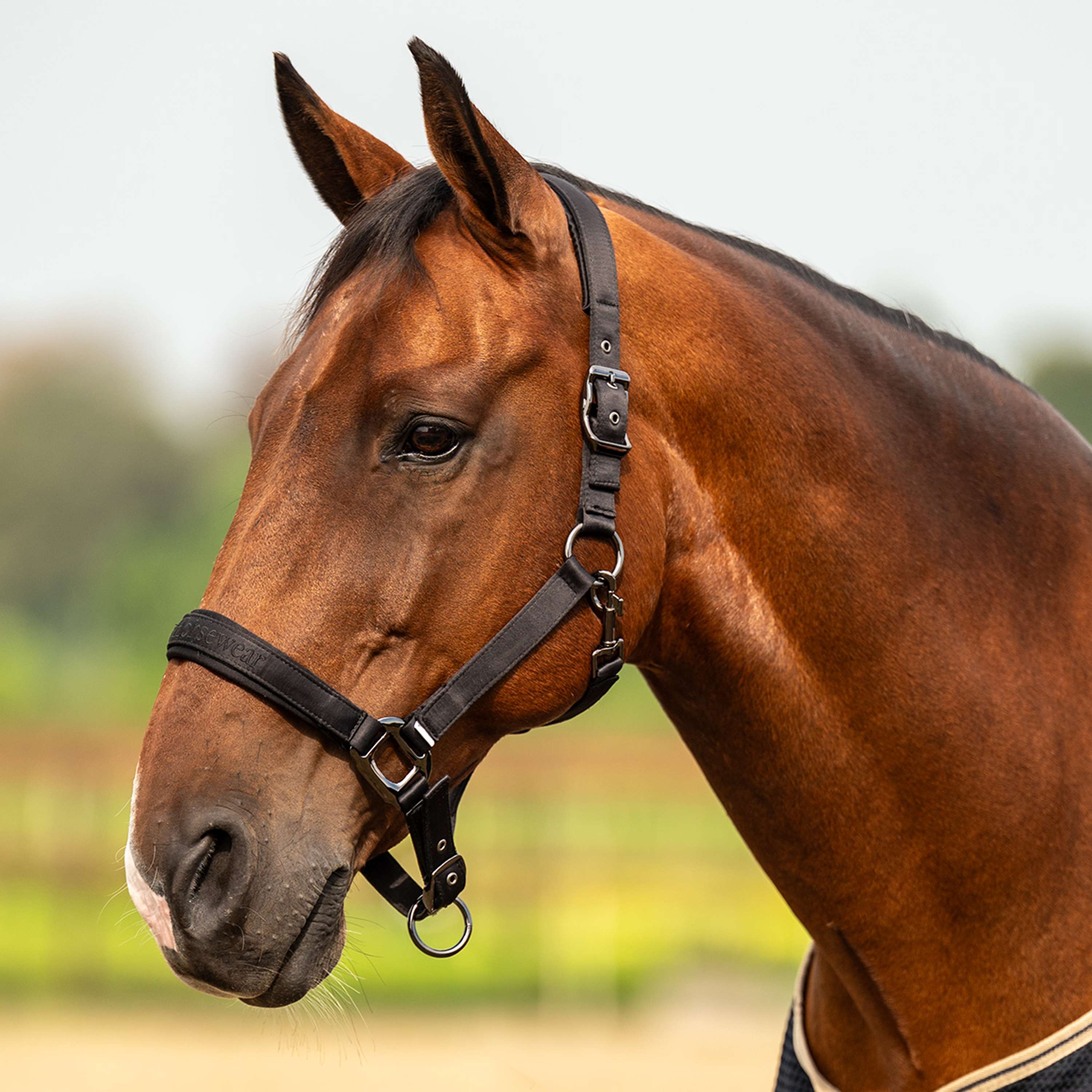 Velder Horsewear Premium Cabezada Satin Glow Negro