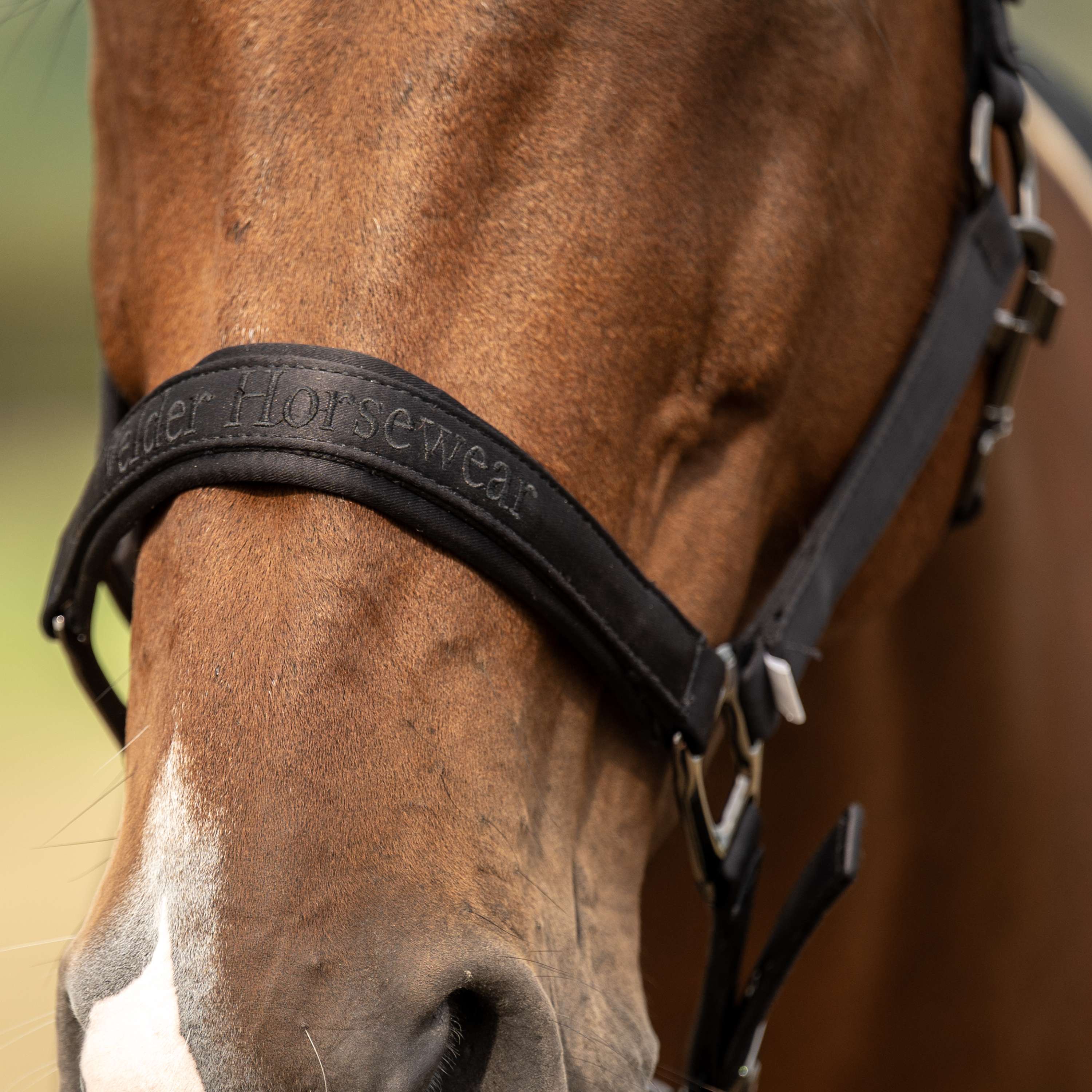 Velder Horsewear Premium Cabezada Satin Glow Negro